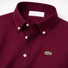 Export Oxford Cotton Full Sleeve Shirt Maroon